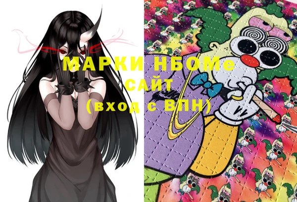 твердый Новозыбков