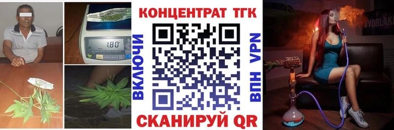 Купить где  Павловская  ТГК концентрат 