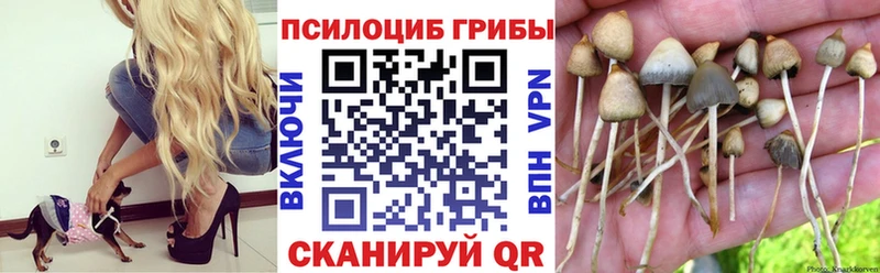 Купить закладки  Павловская  Галлюциногенные грибы ЛСД 