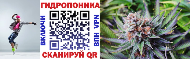 Купить где Павловская Бошки марихуана THC 21%